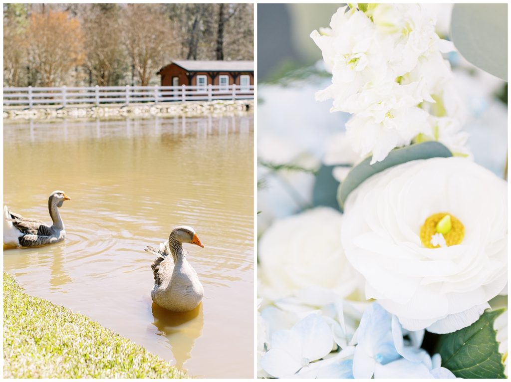 The pond at Shady Wagon Farm with ducks and florals.