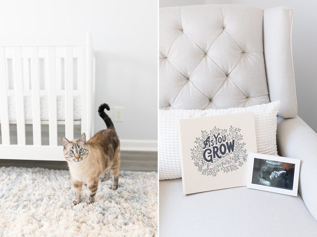 The cat joined in on photos of the nursery