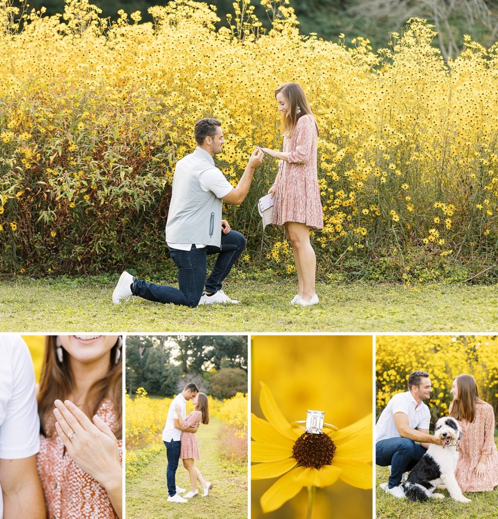 Fall Proposal at Dix Park in Raleigh