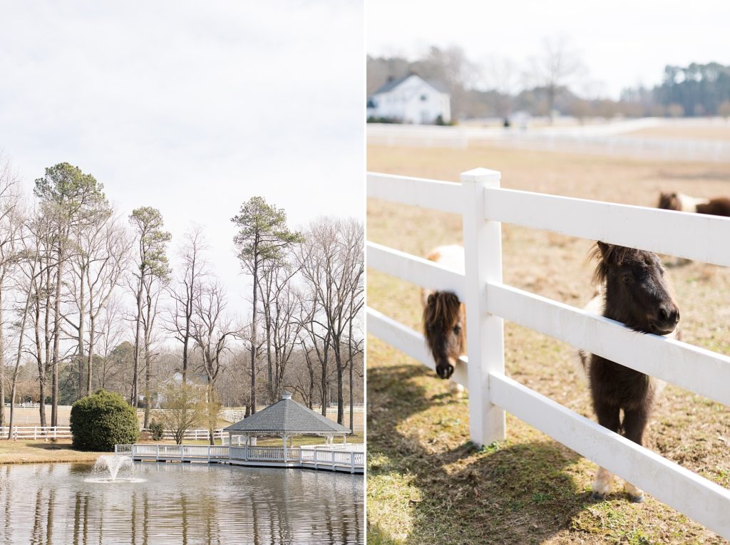 Seven paths manor has a working farm with a pond, horses, and ponies.