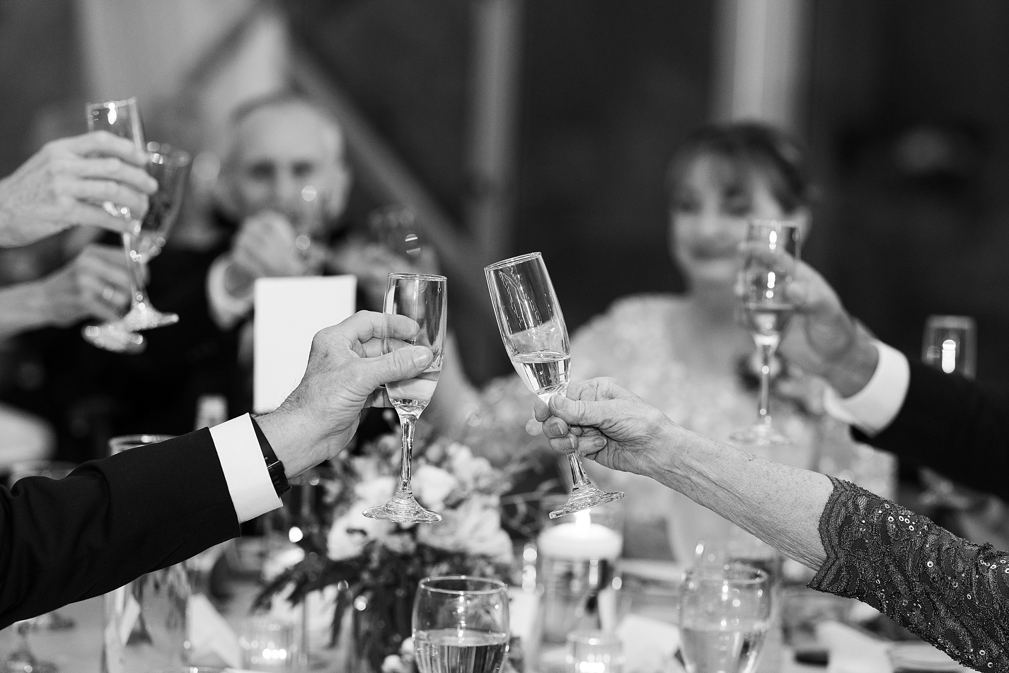 Wedding guests cheersing - Raleigh NC Wedding Photographer - Sarah Hinckley Photography