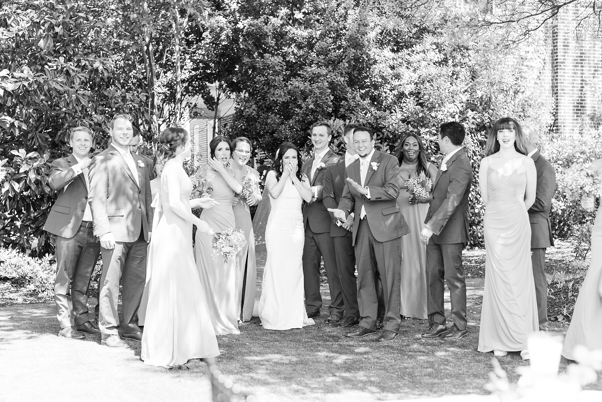 Bridal party when they first see alpacas | Raleigh NC Wedding Photographer