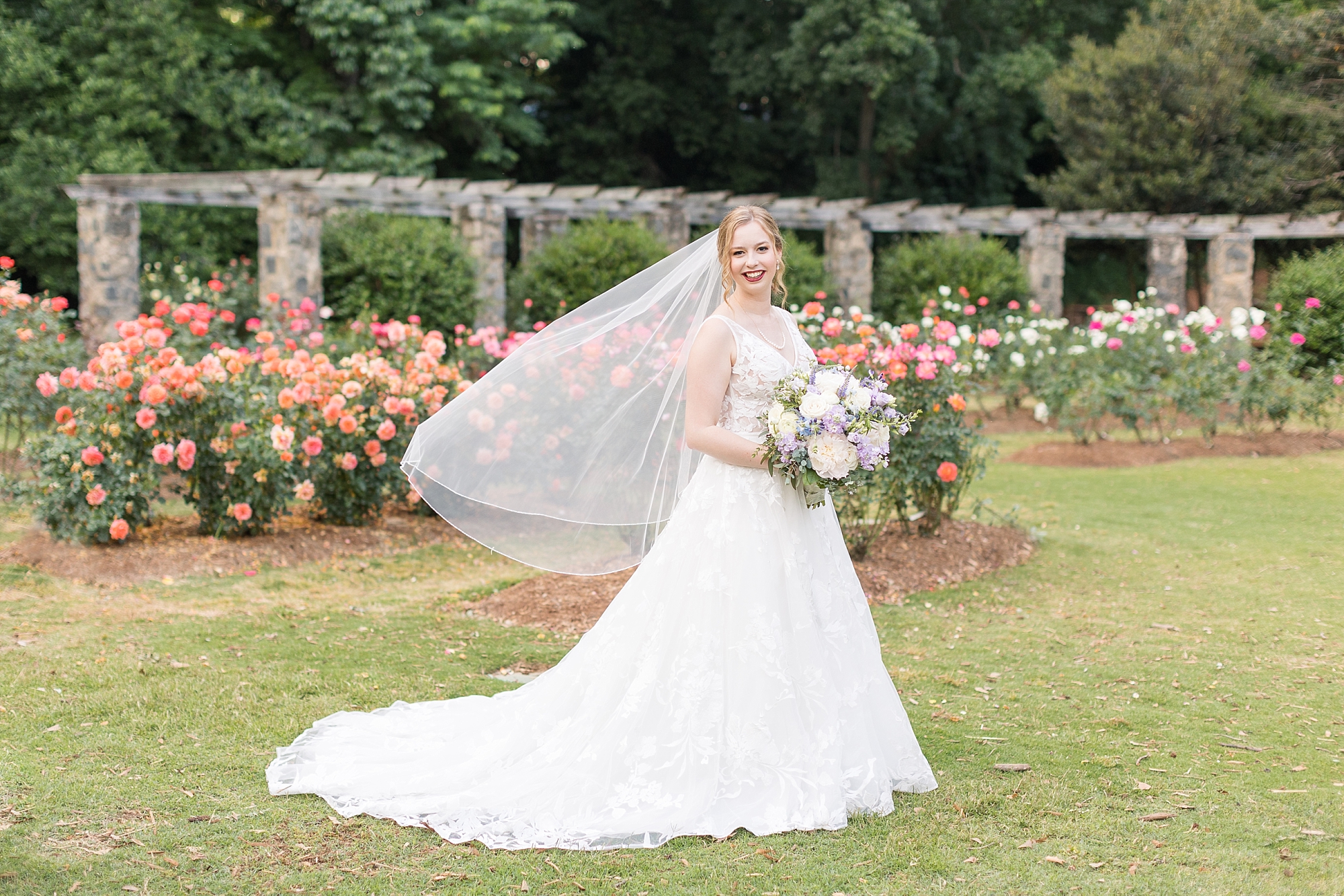 Raleigh Rose Garden Bridal Portraits | Sarah Hinckley Photography