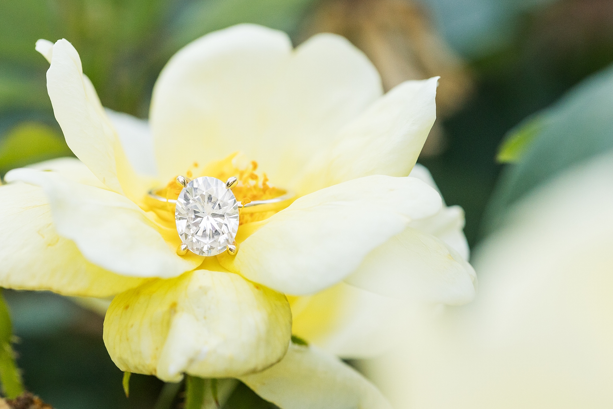 Marquise engagement ring sitting on a flower | Raleigh NC Engagement Photographer