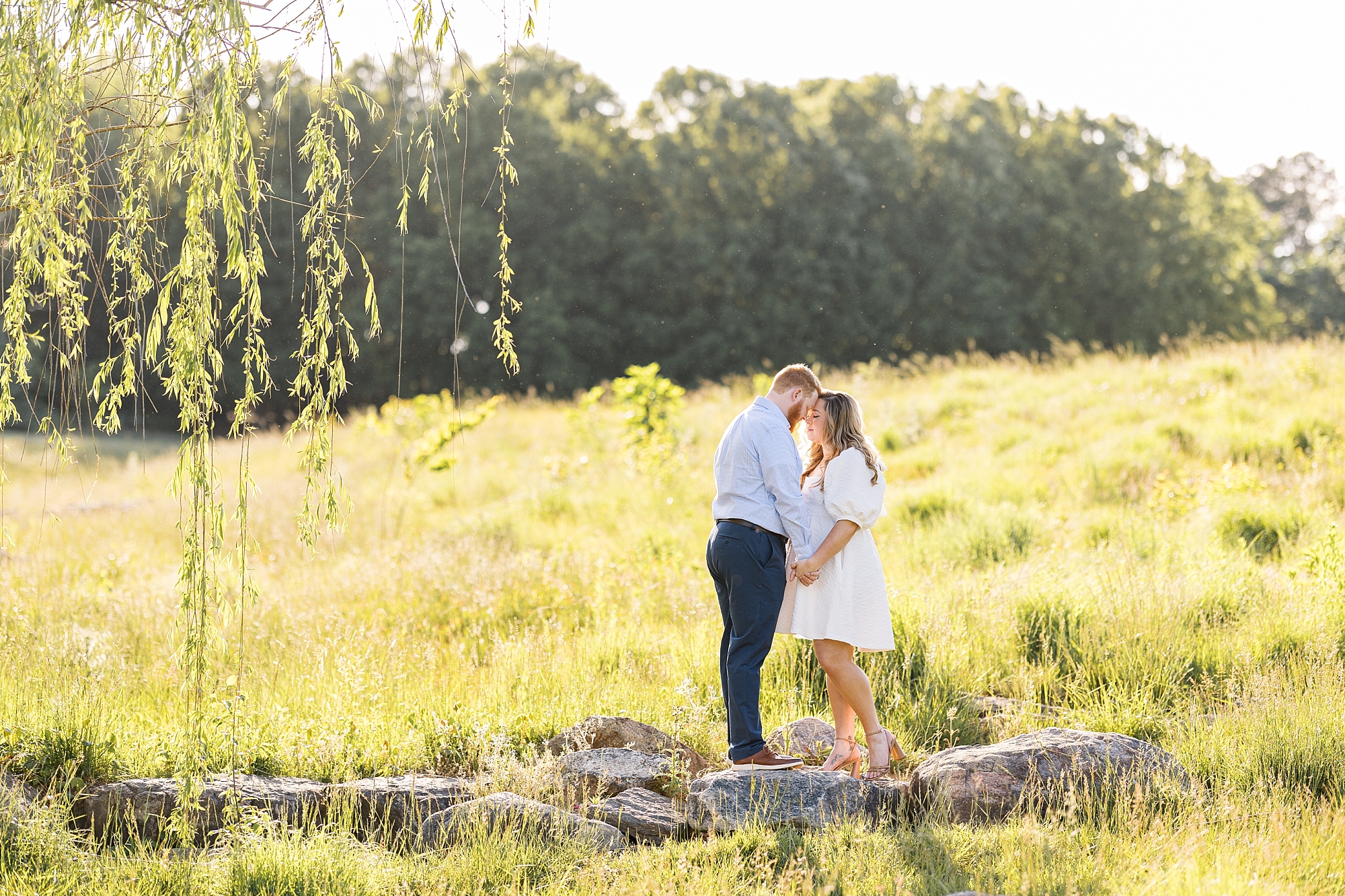 North Carolina Museum of Art engagement photos in a field of tall grass with willow trees | Raleigh NC Engagement Photographer