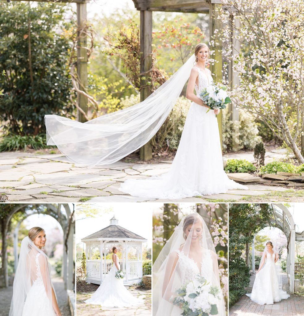 Bridal portraits at JC Raulston Arboretum | Raleigh wedding & bridal portrait photography