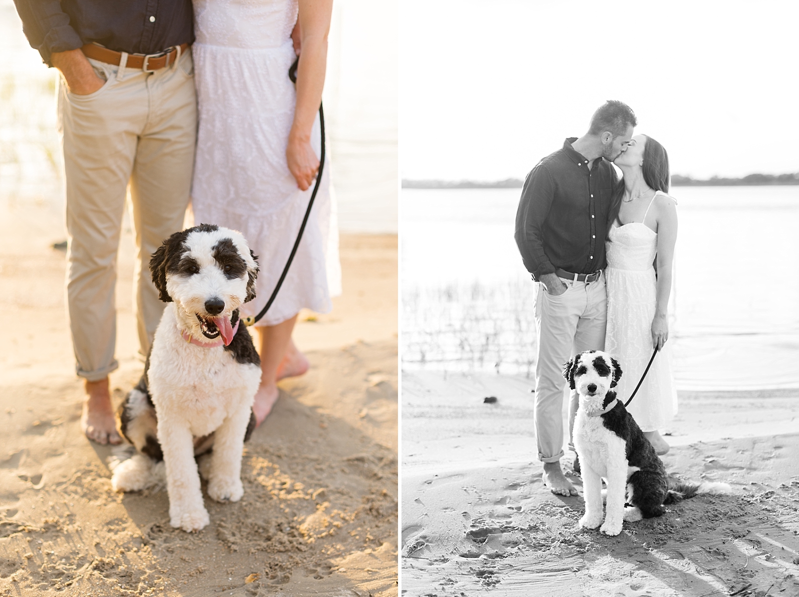 Engagement photos at the beach with your dog | Raleigh North Carolina Wedding Photographer