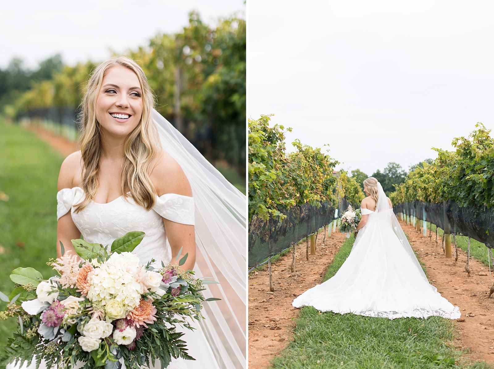 vineyard bridal portraits Childress Vineyards   | NC Wedding Photographer | VA wedding photographer | Vineyard Weddings