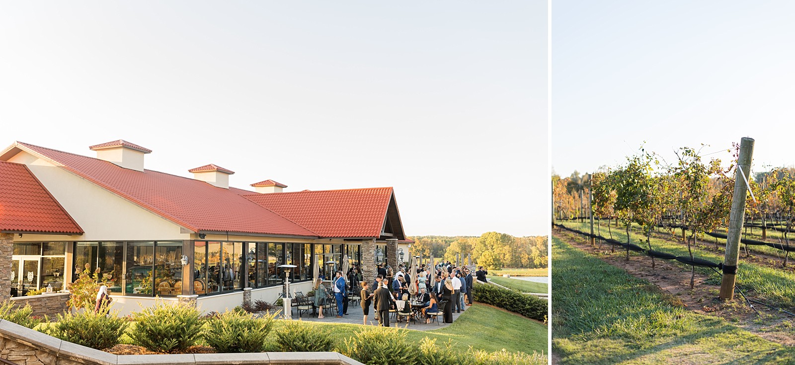 Outside the venue and grape vines | Childress Vineyards Wedding | winery wedding | charlottesville | NC Wedding Photographer 