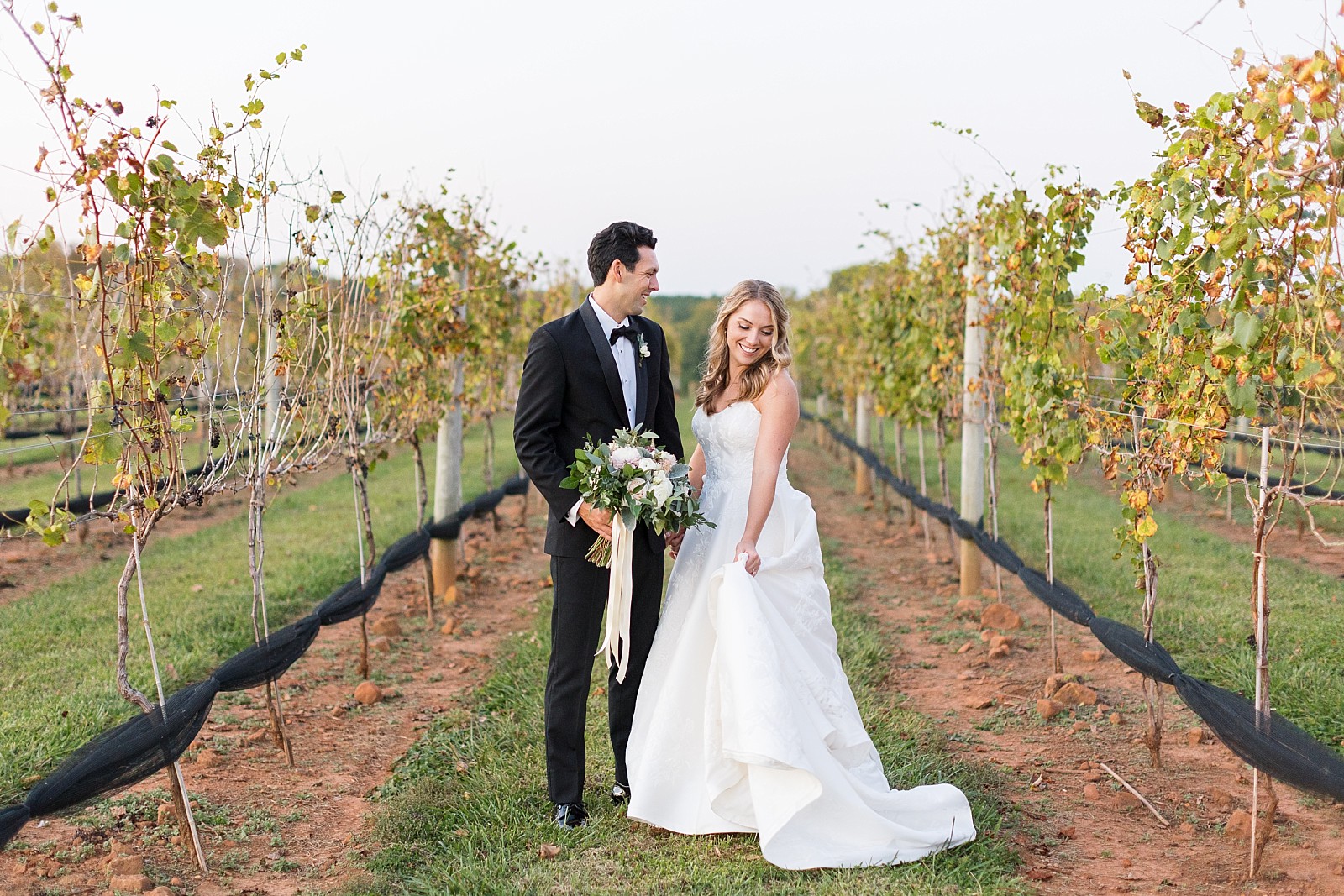 bride and groom in the vineyard at Childress Vineyards Wedding | winery wedding | charlottesville | NC Wedding Photographer 