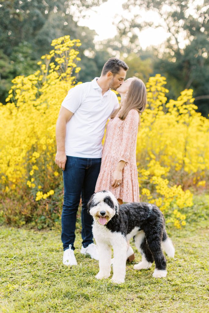 Tips for bringing your dog to your engagement session