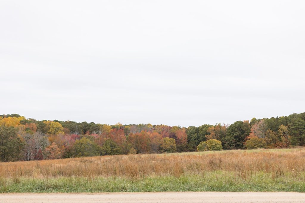 perfect fall meadow Fall Wedding at The Meadows in Raleigh | Raleigh NC Wedding Photographer