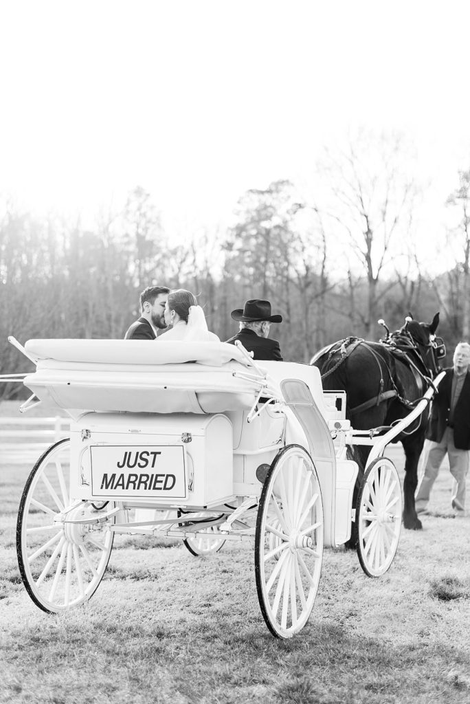 Just Married horse and buggy carriage | Raleigh NC wedding photographer 