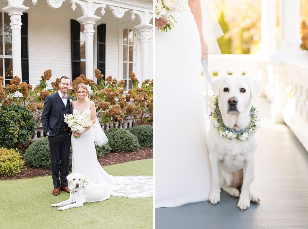 Wedding photos with dog wearing matching floral collar | Dogs in Weddings | flowers for dogs 