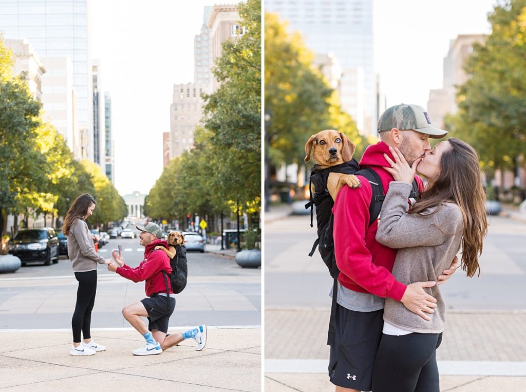 wedding proposal with a dog 