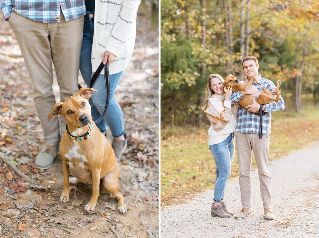 engagement photos with a dog