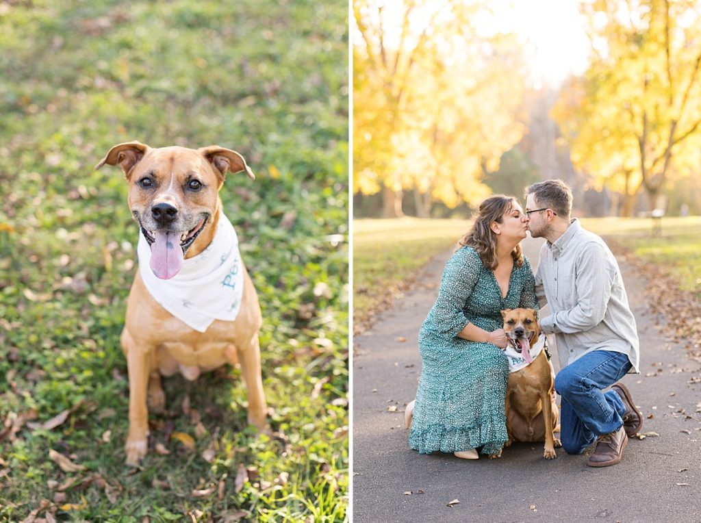 engagement photo with a dog 