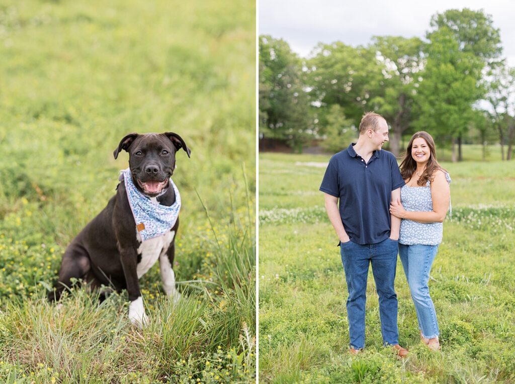 Couple embracing and closeup of family dog | Raleigh NC Engagement Photographer | Sarah Hinckley Wedding Photographer