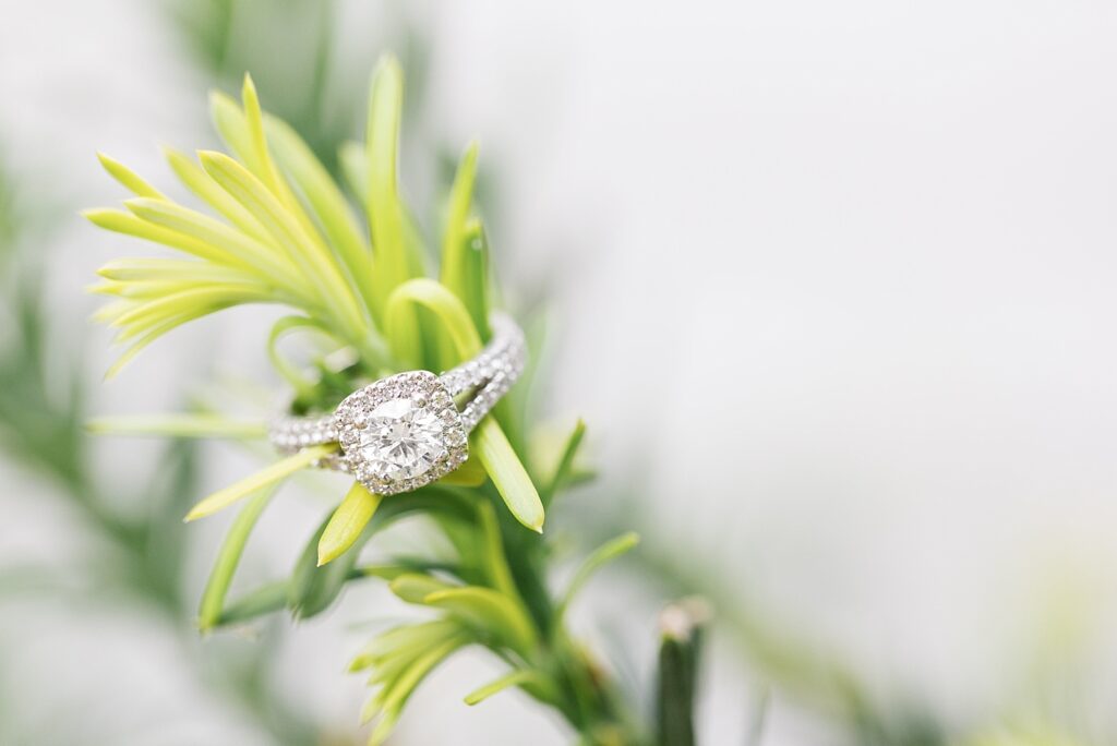 Close-up of Engagement ring placed on green plant | Raleigh NC Engagement Photographer | Historic Oak View Engagement Session