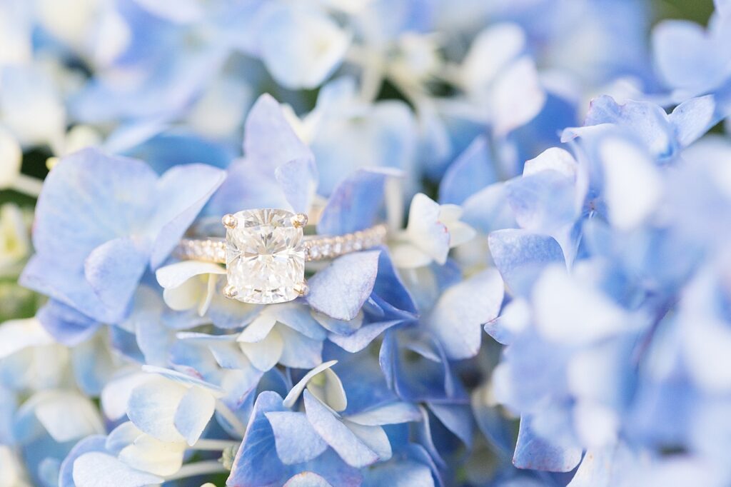 Engagement ring closeup placed on top of blue flowers | WRAL Gardens engagement photos | Raleigh NC wedding photographer 