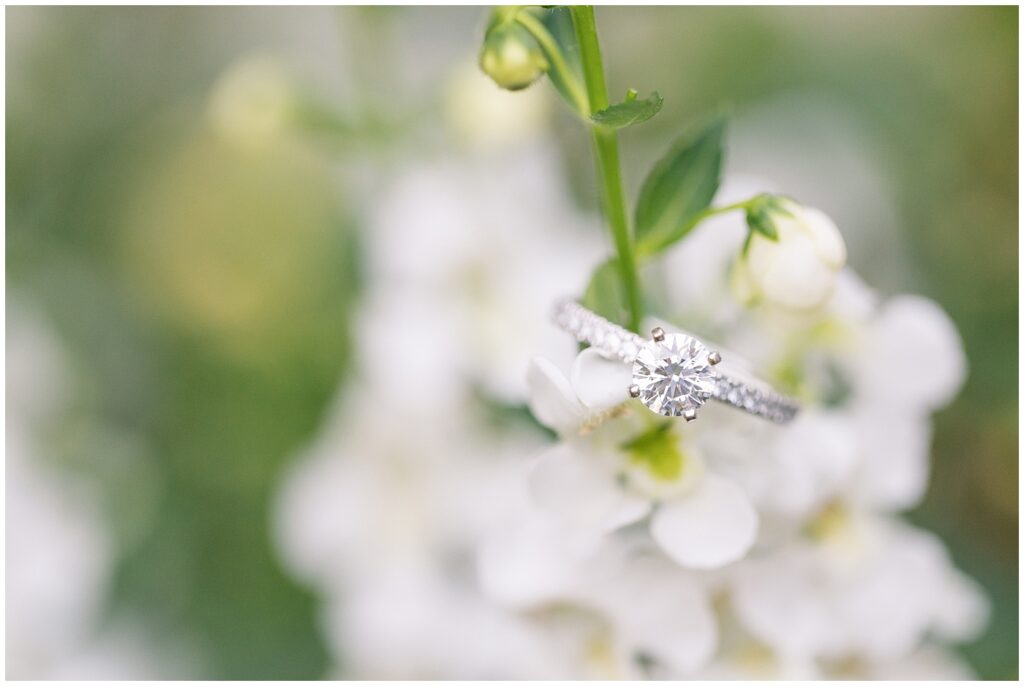 Engagement ring closeup placed on top of white flowers | WRAL Gardens engagement photos | Raleigh NC wedding photographer 