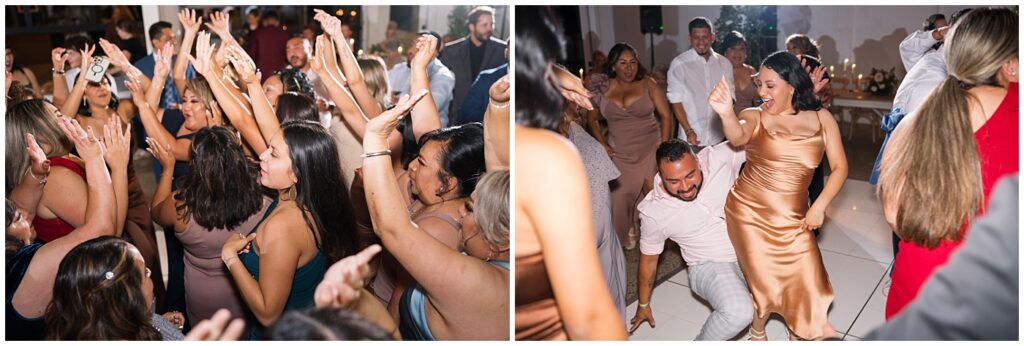 Wedding guests dancing | Carolina Grove Wedding | Carolina Grove Wedding Photographer | Raleigh NC Wedding Photographer