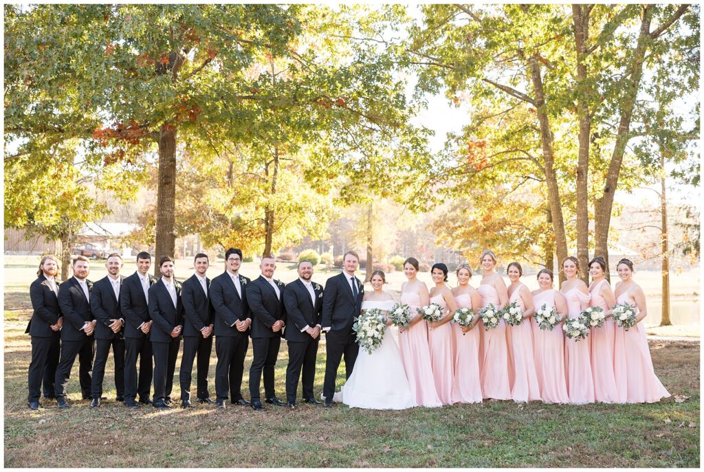 Wedding party, bridesmaids, groomsmen, wedding color inspiration, Sarah Hinckley Wedding Photographer, fall wedding venues