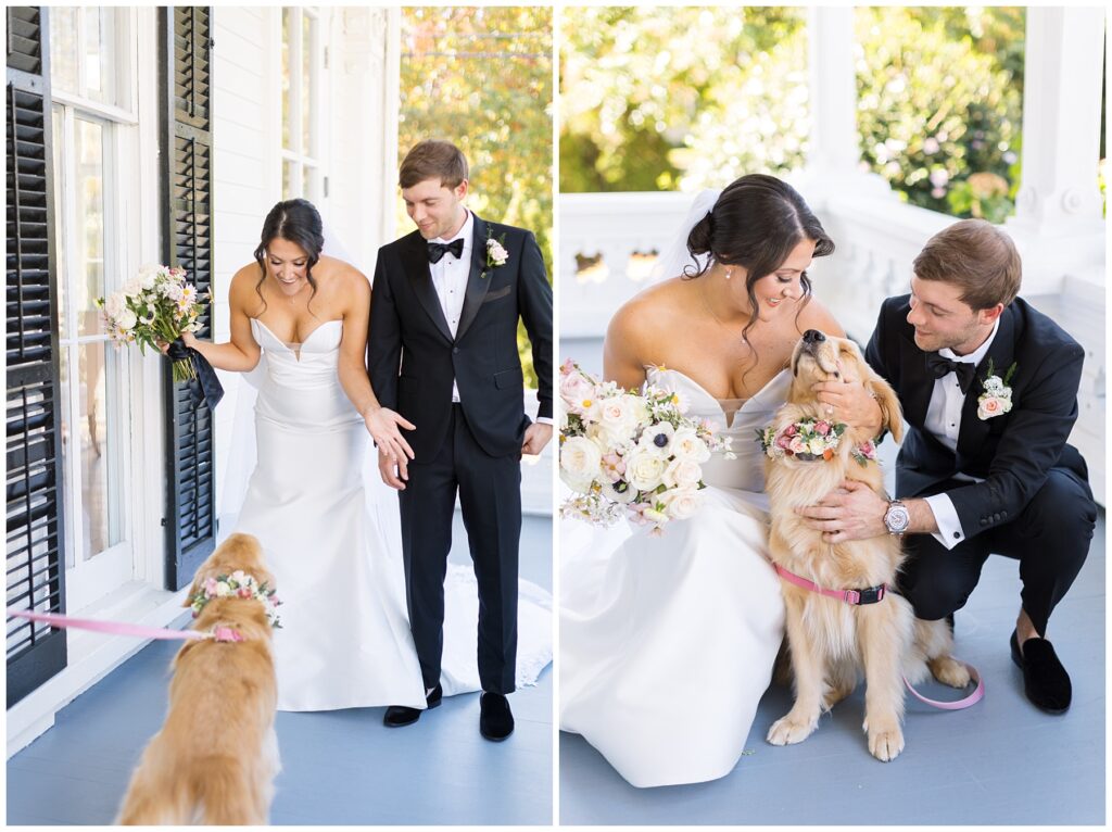 Bride and Groom with dog | Golden Retriever Wedding Inspo | Merrimon-Wynne Wedding | Raleigh NC Wedding Photographer 
