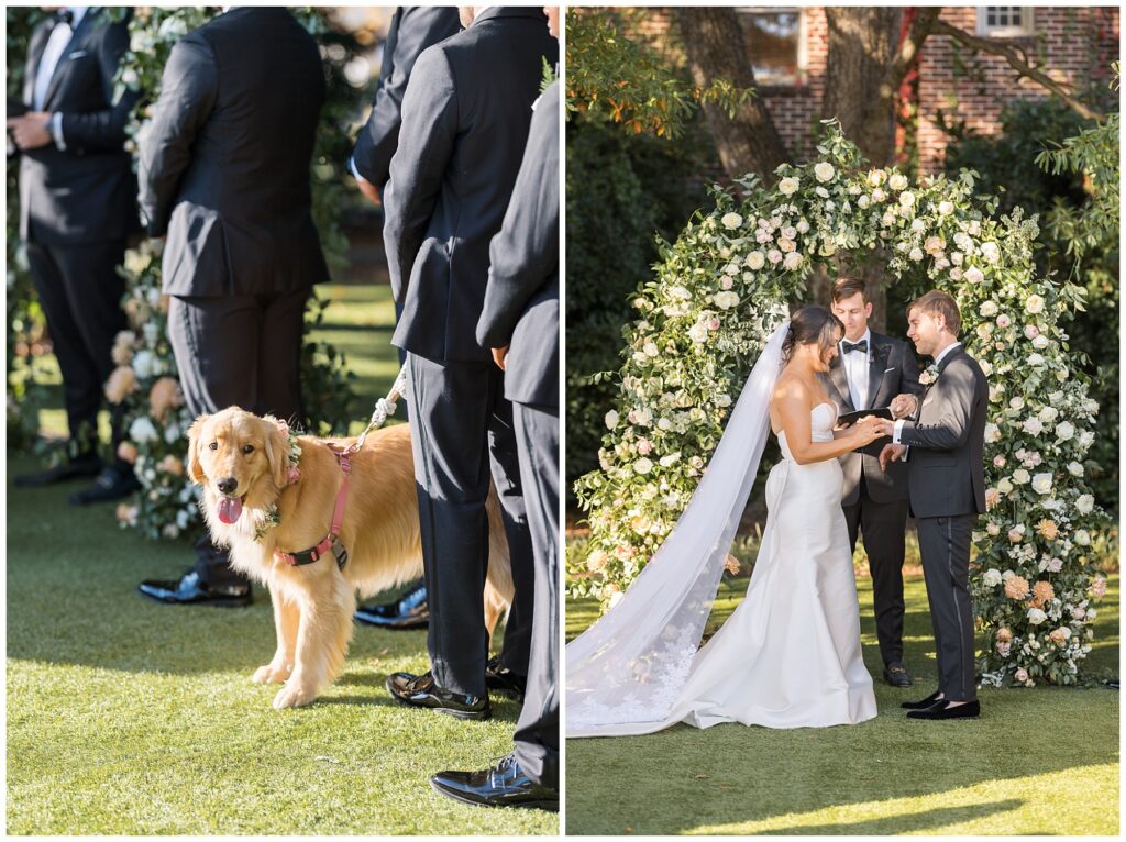 Wedding Ceremony | Golden Retriever Wedding Inspo | Merrimon-Wynne Wedding | Raleigh NC Wedding Photographer 