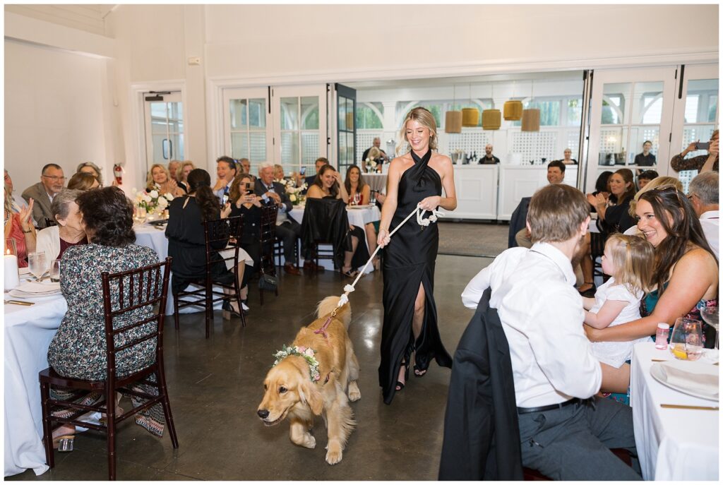 Golden Retriever Wedding Inspo | Merrimon-Wynne Wedding | Raleigh NC Wedding Photographer 
