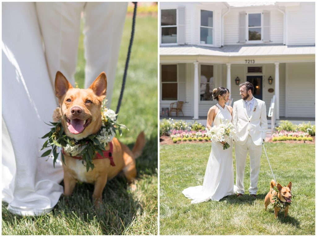 Wedding with a Dog Inspiration | Bride and Groom Photos with a Dog wearing a floral garland | The Upchurch Wedding