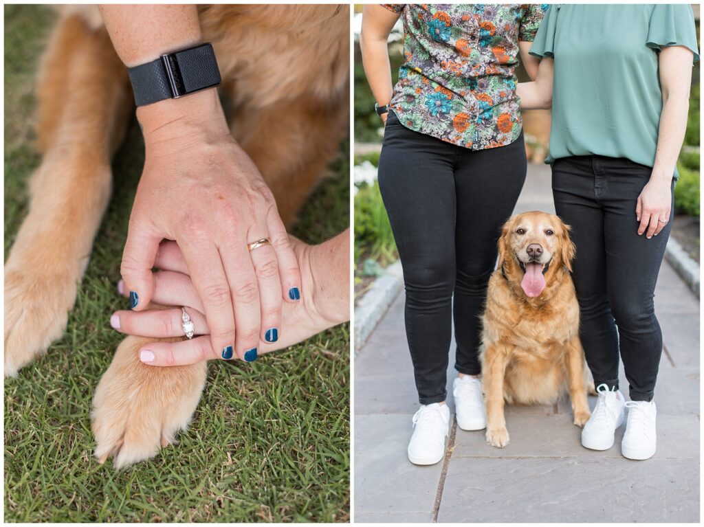 LGBTQ Engagement with Dogs at Duke Gardens | Engagement Photos with Golden Retriever | NC Engagement Photographer