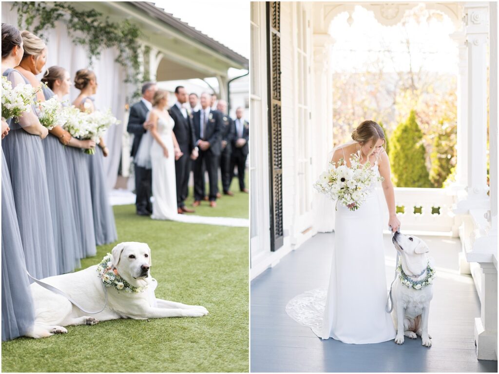 Wedding dog of honor at the ceremony wearing a floral crown | Creative ways to include your dog on your wedding day | NC Wedding Photographer