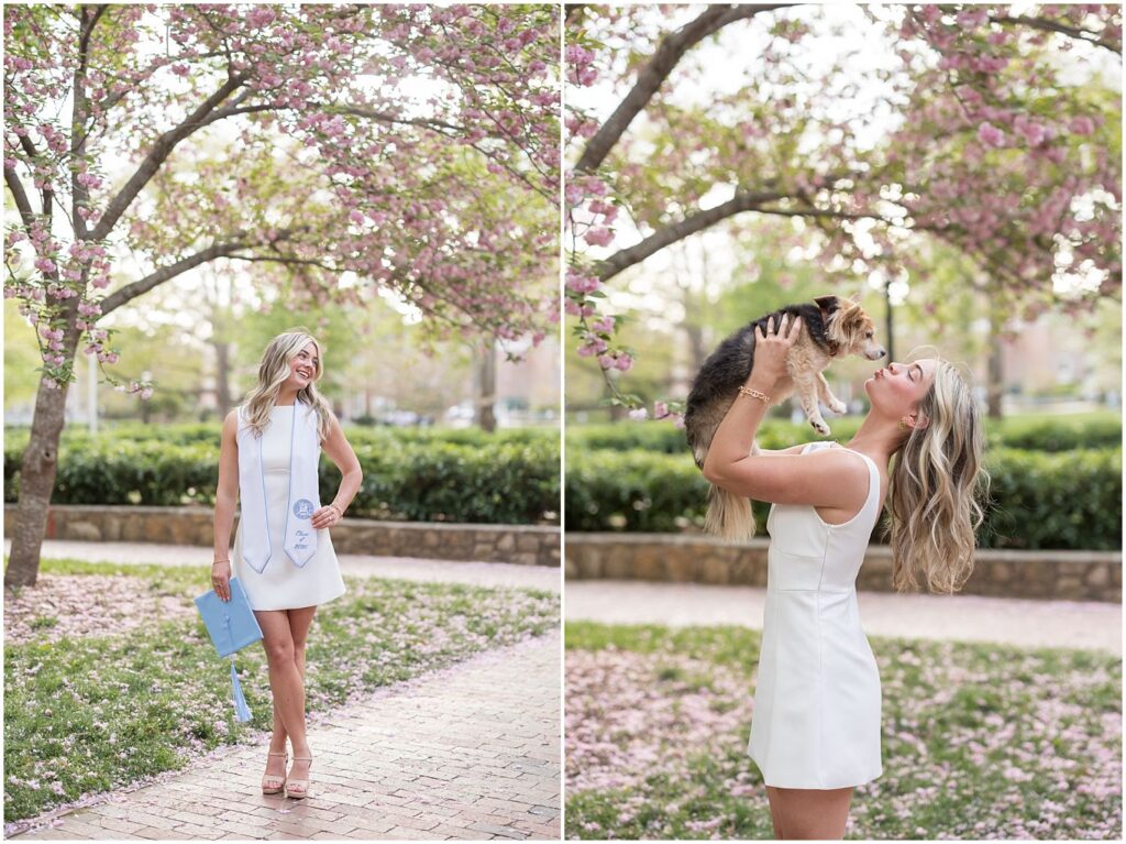 spring senior photos, pink trees, UNC Chapel Hill, senior photographer, grad photos with your dog